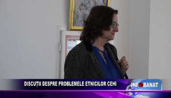 Discuții despre problemele etnicilor cehi