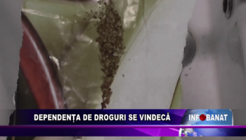 Dependența de droguri se vindecă