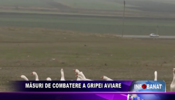 Măsuri de combatere a gripei aviare