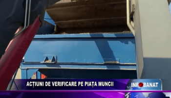 Acțiuni de verificare pe piața muncii