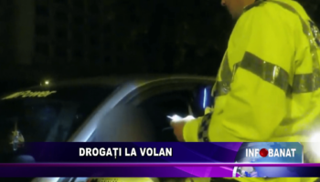 Drogați la volan