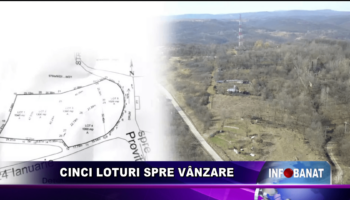 Cinci loturi spre vânzare