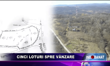 Cinci loturi spre vânzare