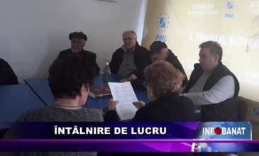 Întâlnire de lucru
