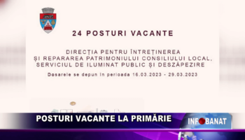 Posturi vacante la Primărie