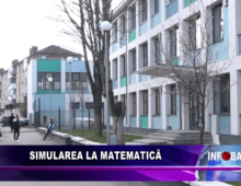 Simularea la matematică