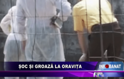 Șoc și groază la Oravița