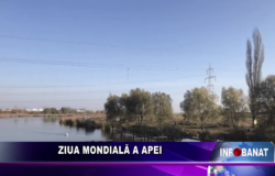 Ziua Mondială a Apei