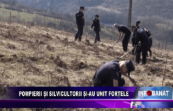 Pompierii și silvicutorii și-au unit forțele