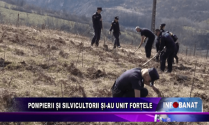 Pompierii și silvicutorii și-au unit forțele