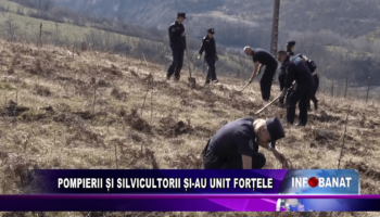 Pompierii și silvicutorii și-au unit forțele