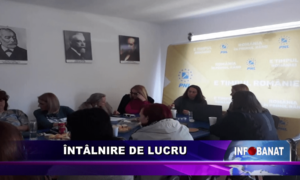 Întâlnire de lucru
