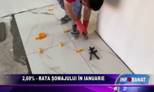 2,69%  – rata șomajului în ianuarie