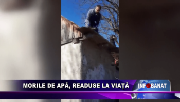 Morile de apă – readuse la viață