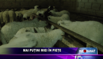 Mai puțin miei în piețe