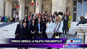 Femeile liberale, la Palatul Parlamentului