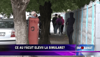 Ce au făcut elevii la simulare?