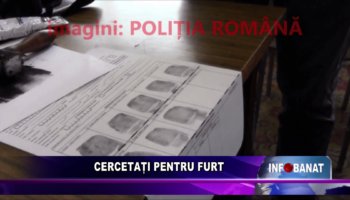 Cercetați pentru furt