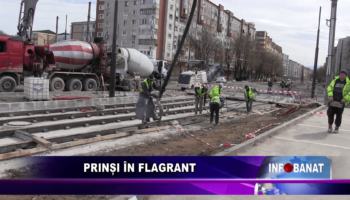 Prinși în flagrant