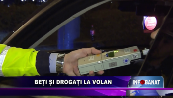 Beți și drogați la volan