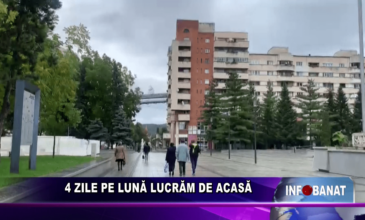 4 zile pe lună lucrăm de acasă
