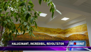 Halucinant, incredibil, revoltător