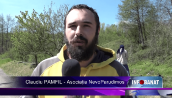Voluntariat, educație, toleranță