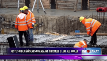 Peste 500 de cărășeni s au angajat în primele 3 luni ale anului