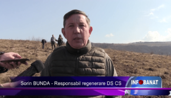 Bani europeni pentru împăduriri