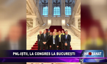 PNL-iștii, la congres la București