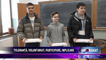 Toleranță, voluntariat, participare, implicare