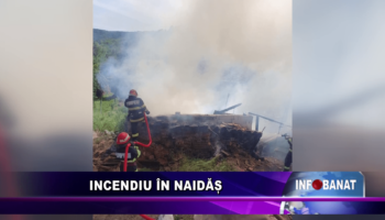 Incendiu în Naidăș