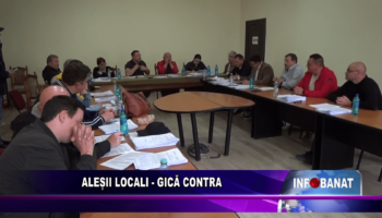 Aleșii locali –  Gică contra