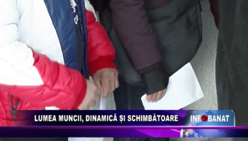 Lumea muncii, dinamică și schimbătoare