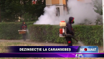 Dezinsecție la Caransebeș