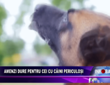 Amenzi dure pentru cei cu câini periculoși