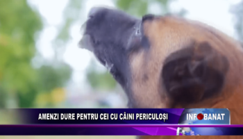 Amenzi dure pentru cei cu câini periculoși