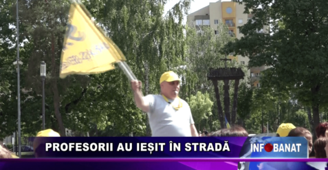 Profesorii au iesit in stradă