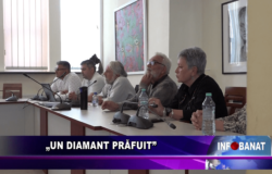 „Un diamant prăfuit”