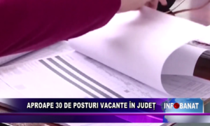 Aproape 30 de posturi vacante în județ