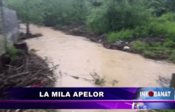 La mila apelor