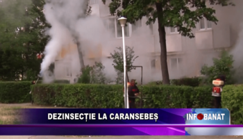 Dezinsecție la Caransebeș