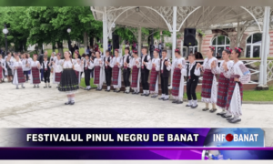 Festivalul Pinul Negru de Banat