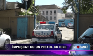 Împușcat cu un pistol cu bile