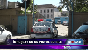 Împușcat cu un pistol cu bile