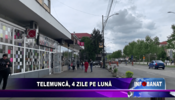 Telemuncă, 4 zile pe lună