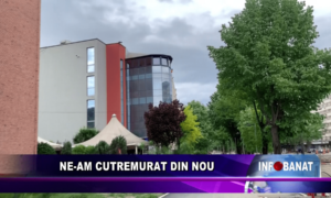 Ne-am cutremurat din nou