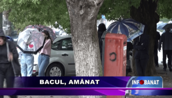 Bacul, amânat