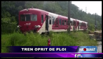 Tren oprit de ploi