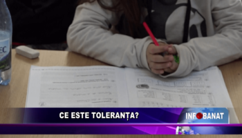Ce este toleranța?
